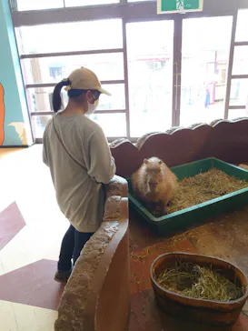 ひらかたパークに投稿された画像（2021/4/4）