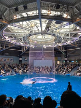 マクセル アクアパーク品川に投稿された画像（2021/4/4）