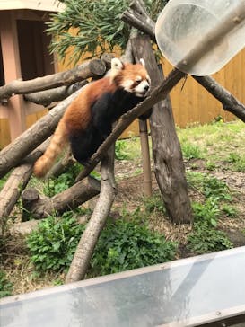 横浜・八景島シーパラダイスに投稿された画像（2021/4/4）