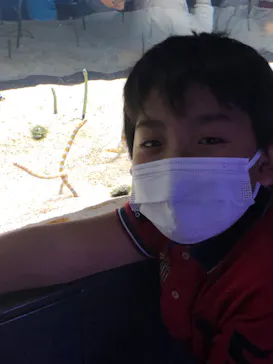 すみだ水族館に投稿された画像（2021/4/4）