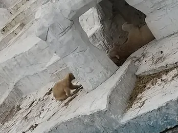 天王寺動物園に投稿された画像（2021/4/4）