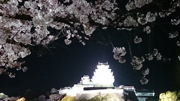 姫路城（イベント）に投稿された画像（2021/4/4）