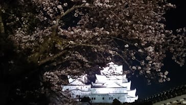 姫路城（イベント）に投稿された画像（2021/4/4）