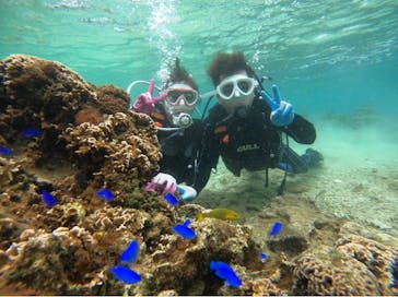 青の洞窟専門店　沖縄ダイビングショップ和に投稿された画像（2021/4/4）