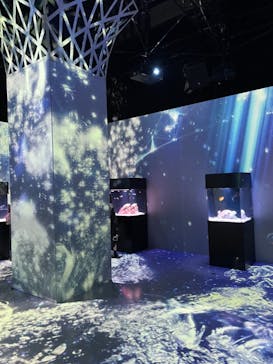 マクセル アクアパーク品川に投稿された画像（2021/4/4）