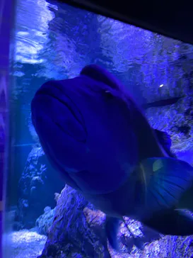 すみだ水族館に投稿された画像（2021/4/4）