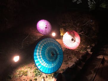 姫路城（イベント）に投稿された画像（2021/4/4）