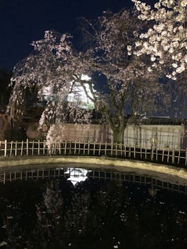 姫路城（イベント）に投稿された画像（2021/4/4）