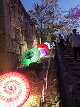 姫路城（イベント）に投稿された画像（2021/4/4）