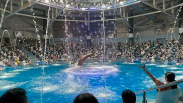 マクセル アクアパーク品川に投稿された画像（2021/4/4）