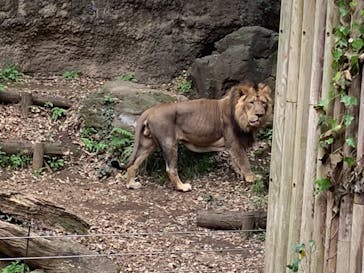 よこはま動物園ズーラシアに投稿された画像（2021/4/4）
