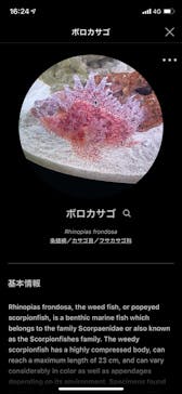 マクセル アクアパーク品川に投稿された画像（2021/4/4）