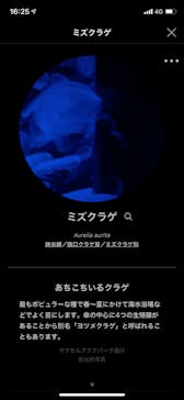 マクセル アクアパーク品川に投稿された画像（2021/4/4）