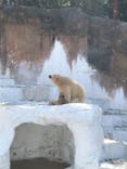 天王寺動物園に投稿された画像（2021/4/4）
