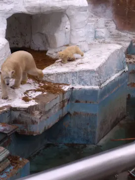 天王寺動物園に投稿された画像（2021/4/4）