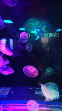 しながわ水族館に投稿された画像（2021/4/4）
