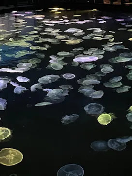 すみだ水族館に投稿された画像（2021/4/4）
