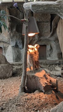 那須どうぶつ王国に投稿された画像（2021/4/4）