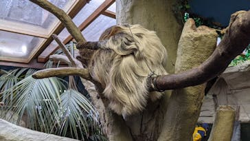 那須どうぶつ王国に投稿された画像（2021/4/4）