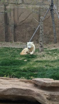 那須どうぶつ王国に投稿された画像（2021/4/4）