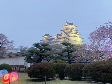 姫路城（イベント）に投稿された画像（2021/4/4）