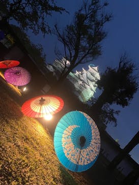 姫路城（イベント）に投稿された画像（2021/4/4）