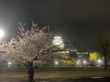 姫路城（イベント）に投稿された画像（2021/4/4）