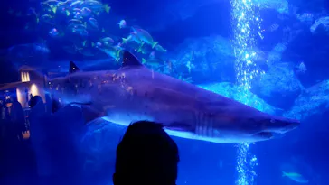 すみだ水族館に投稿された画像（2021/4/4）