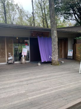 モダン湯治 おんりーゆーに投稿された画像（2021/4/4）