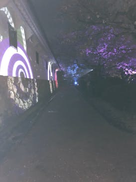 姫路城（イベント）に投稿された画像（2021/4/4）