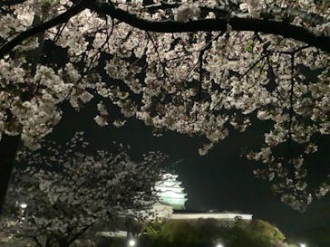 姫路城（イベント）に投稿された画像（2021/4/4）