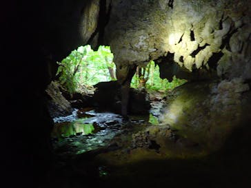 西表島 ADVENTURE PiPi（アドベンチャーピピ）に投稿された画像（2021/4/4）