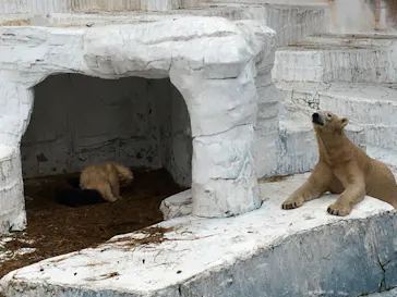 天王寺動物園に投稿された画像（2021/4/4）