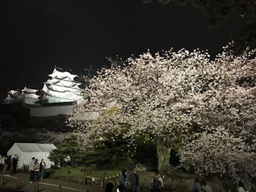 姫路城（イベント）に投稿された画像（2021/4/4）