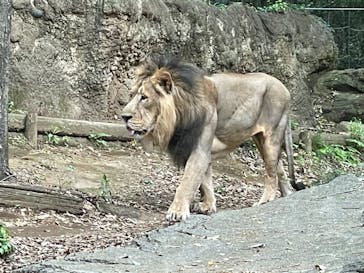 よこはま動物園ズーラシアに投稿された画像（2021/4/4）