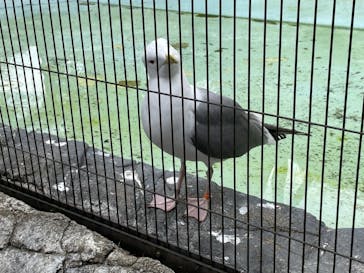 よこはま動物園ズーラシアに投稿された画像（2021/4/4）