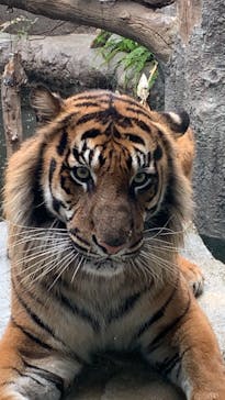 神戸どうぶつ王国に投稿された画像（2021/4/4）