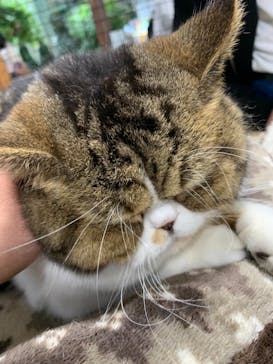 神戸どうぶつ王国に投稿された画像（2021/4/4）