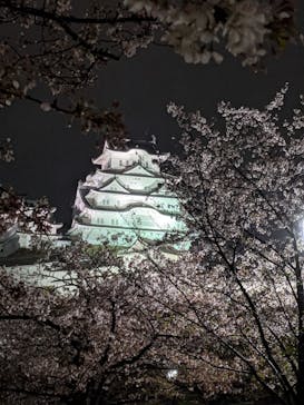 姫路城（イベント）に投稿された画像（2021/4/4）