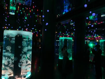 マクセル アクアパーク品川に投稿された画像（2021/4/4）