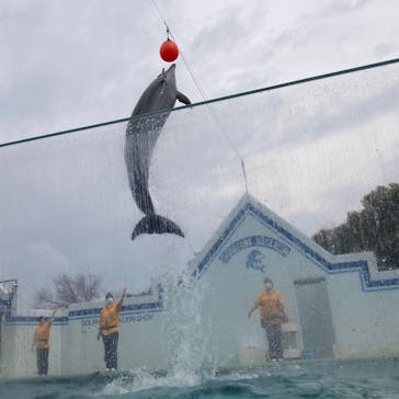 しながわ水族館に投稿された画像（2021/4/4）