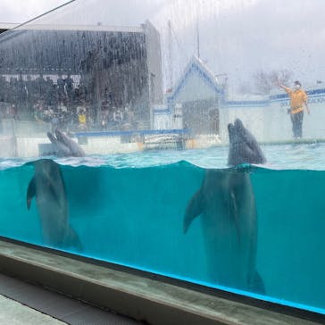 しながわ水族館に投稿された画像（2021/4/4）
