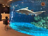 しながわ水族館に投稿された画像（2021/4/4）