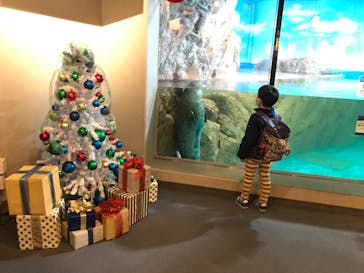 しながわ水族館に投稿された画像（2021/4/4）