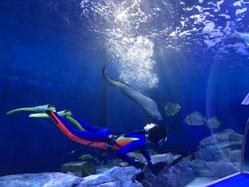 しながわ水族館に投稿された画像（2021/4/4）