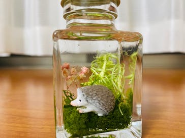 ずこうしつ〜sugamo〜に投稿された画像（2021/4/4）