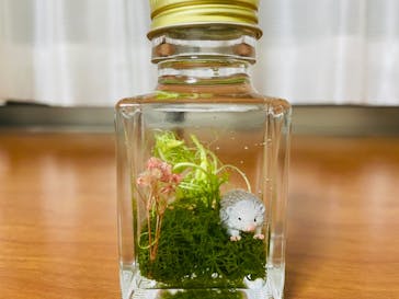 ずこうしつ〜sugamo〜に投稿された画像（2021/4/4）