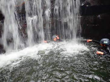 西表島 ADVENTURE PiPi（アドベンチャーピピ）に投稿された画像（2021/4/4）