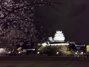 姫路城（イベント）に投稿された画像（2021/4/4）