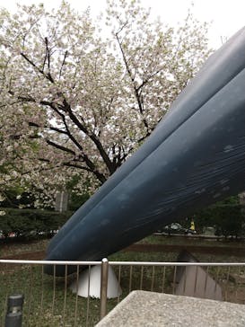 国立科学博物館に投稿された画像（2021/4/4）